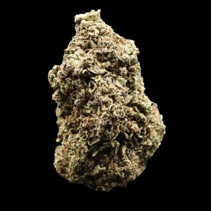 cereal runtz premium flower