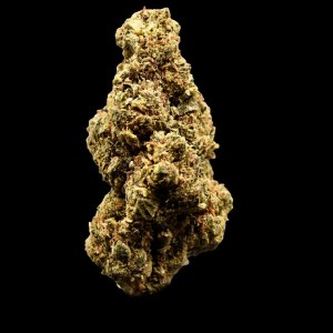 sugar cones premium flower