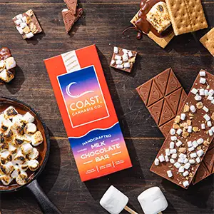 s'mores milk chocolate bar | 20pk edible