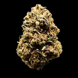 georgia pie premium flower