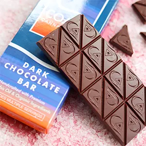 sea salt dark chocolate bar | 20pk edible