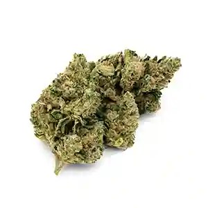 Sour London Pound Cake | 1/8 oz. – Fathom (Sativa-Hybrid Flower) Fathom Sour London Pound Cake Sativa-Hybrid 1/8 oz. flower
