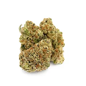 Melon Collie | 1/8 oz. – Fresh Connection (Sativa-Hybrid Flower) Fresh Connection Melon Collie Sativa-Hybrid 1/8 oz. flower