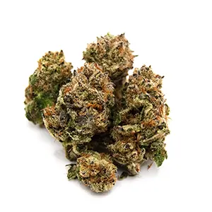 Morning Dew Grape Pie Indica-Hybrid 1/8 oz. flower