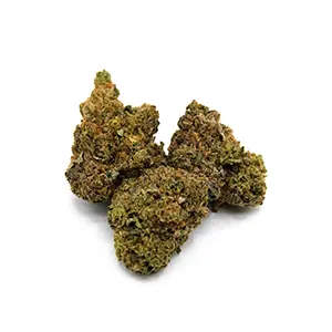 Bailey's Buds Tangimal Sativa-Hybrid 1/8 oz. flower