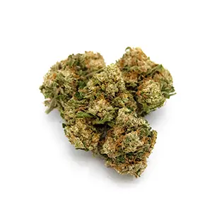 Strawberry Hill Farm The White Hybrid 1/8 oz. flower