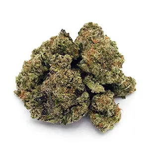Blueberry Diesel | 1/8 oz. – Hidden Hemlock (Sativa Flower) Hidden Hemlock Blueberry Diesel Sativa 1/8 oz. flower