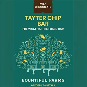 tayter chip chocolate rosin bar | 20pk edible