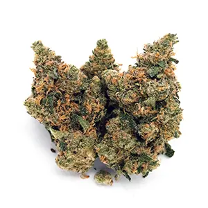Bountiful Farms Night Magic Sativa-Hybrid 1/8 oz. flower