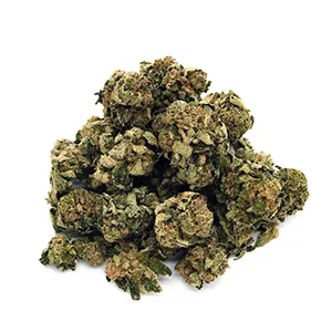 heirloom collective rainbow