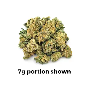 morning dew cap junky