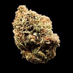 Silky Gelato – Premium Cannabis Flower at Bread Monkey silky gelato premium flower