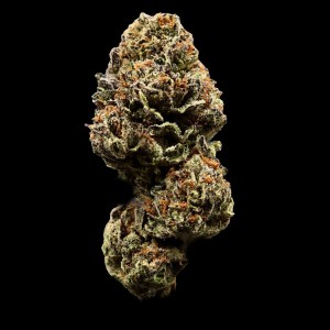 jelly donuts premium flower