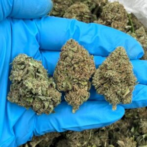 cloudberry low tier flower