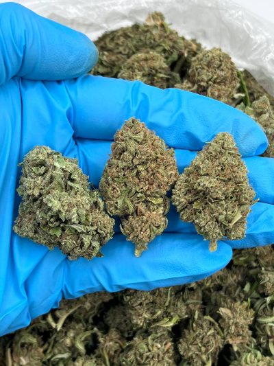 cloudberry low tier flower