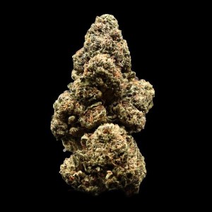 Rainbow Sugar Rush – Premium Cannabis Flower at Bread Monkey rainbow sugar rush premium flower