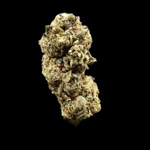 Blueberry Cheesecake Kush – Premium Cannabis Flower at Bread Monkey blueberry cheesecake kush premium flower