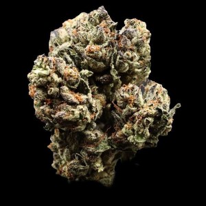 forbidden frostbite premium flower