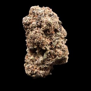 permanent marker premium flower