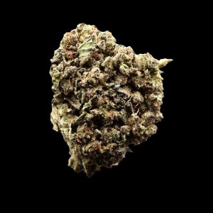 sticky gorilla glue premium flower