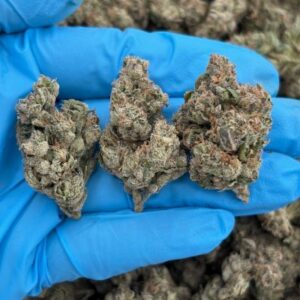 runtz cherry indoor mid tier flower