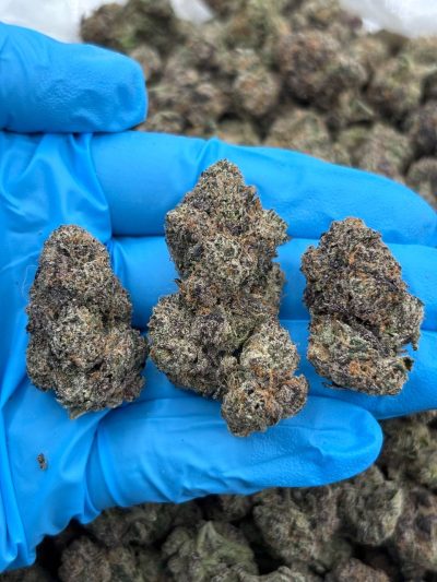 zkittle pop indoor high tier flower