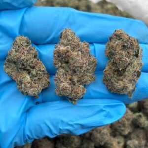 nerd ropez indoor mid tier flower