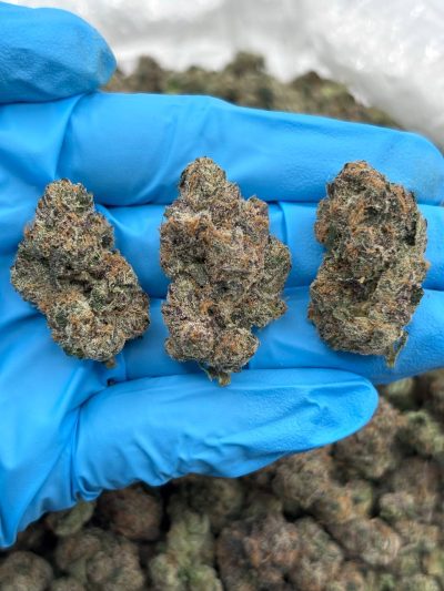 nerd ropez indoor mid tier flower