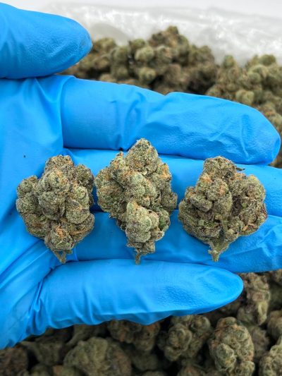 sour beltz indoor high tier flower