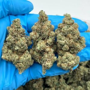 stardust diesel indoor mid tier flower