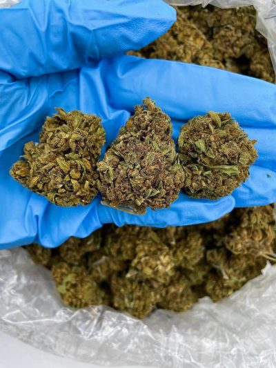 caramel apple low tier flower