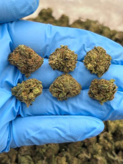 electra ice low tier flower