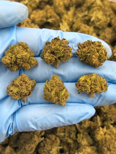 gellonade low tier flower