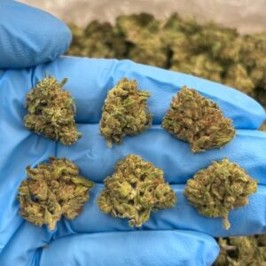 oreo crumble low tier flower