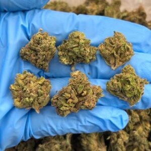 meteor mintz low tier flower