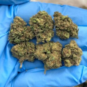 Space Rocks – Low-Tier Cannabis Flower at Bread Monkey space rocks low tier flower