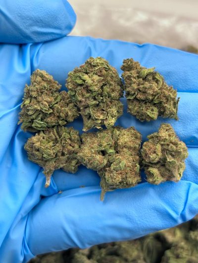 space rocks low tier flower