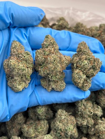 Blue Nectar – Indoor High-Tier Cannabis Flower at Bread Monkey blue nectar indoor high tier flower